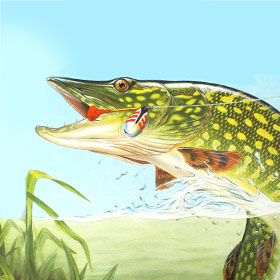 Reference: Angeln & Jagd